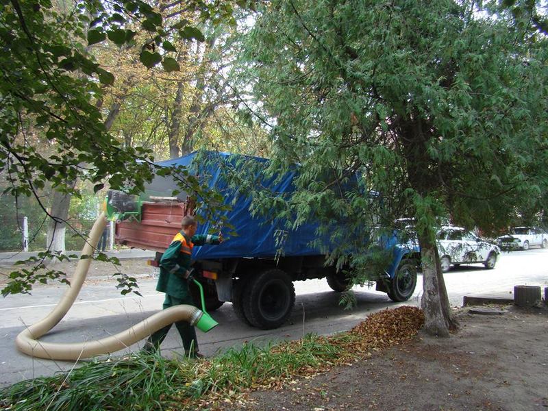 Така мішина працює в місті вже другий рік поспіль