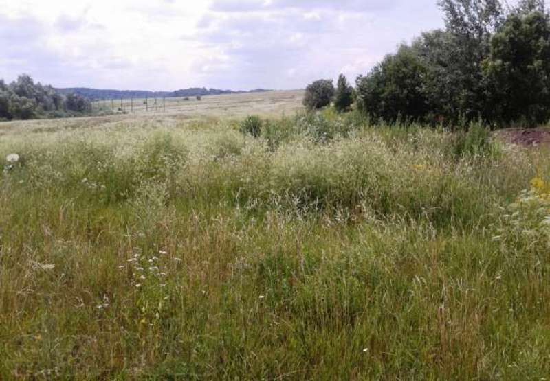 На Хмельниччині продали 51,95 гектара комунальних земель