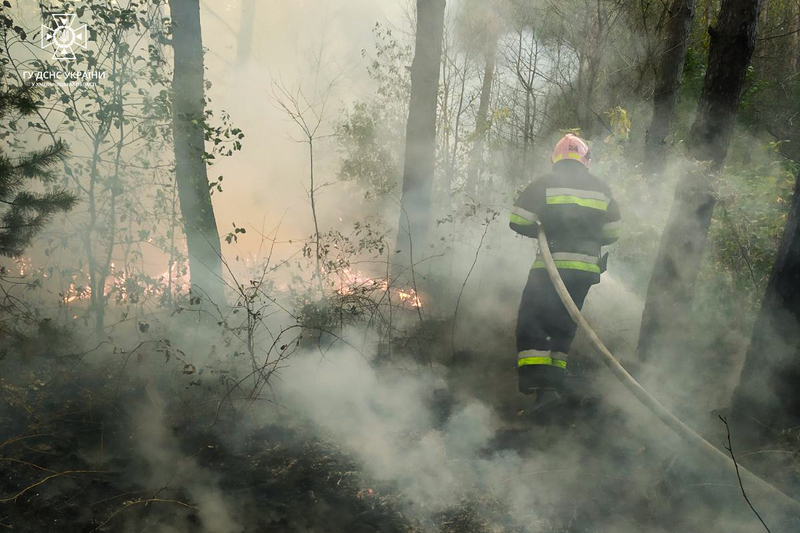 7 пожеж протягом 6 жовтня надзвичайники гасили на відкритих територіях у Кам