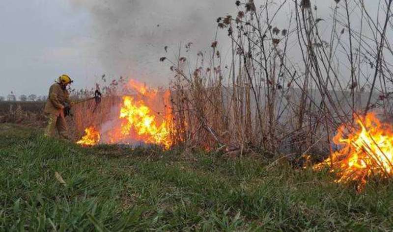 Тричі за минулу добу рятувальники виїжджали на гасіння пожеж сухої трави