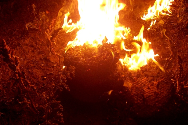 Рятувальники знищили кубло вогнем