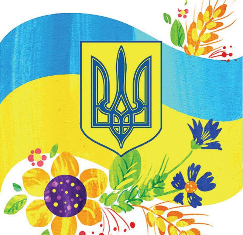 З нагоди Дня Конституції України (Автор: lasoon.net)