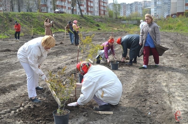 У рамках акції «1 мільйон дерев за 24 години» Всеукраїнського проєкту «Озеленення України»