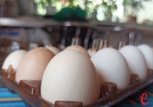 Після весняного здешевшання, яйця знову додали у ціні