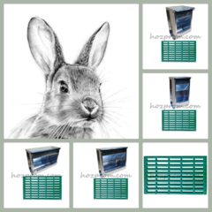 Безпечні багатосекційні годівниці для кроликів